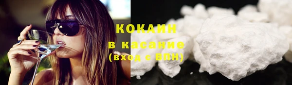 шишки Балабаново