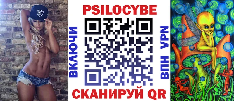 где можно купить наркотик  shop наркотические препараты  Псилоцибиновые грибы Psilocybine cubensis  Губкинский 